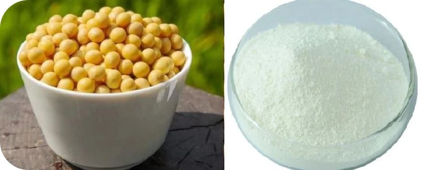 Phytosterol Granule