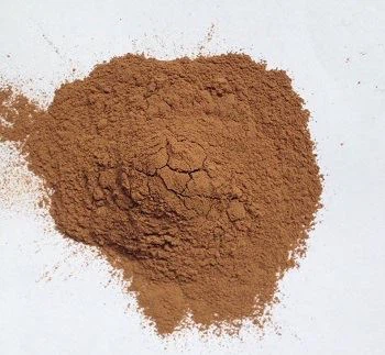 Ginkgo Biloba Extract Powder Ginkgo Biloba Extract Powder