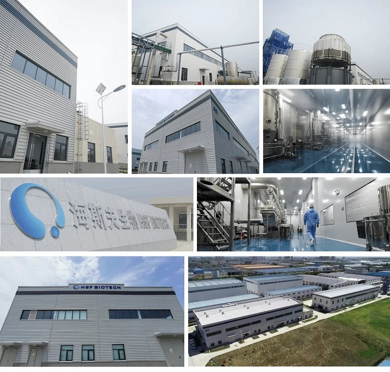 factory