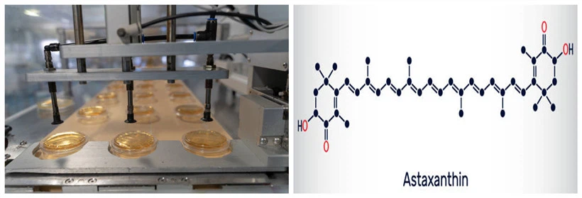 Astaxanthin chemical structure Astaxanthin chemical structure