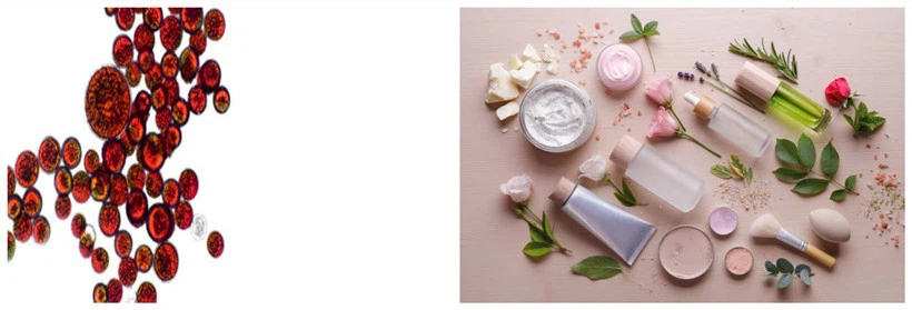 astaxanthin products astaxanthin products