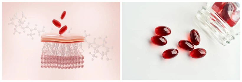 astaxanthin astaxanthin