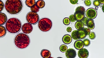 info-640-360 info-640-360