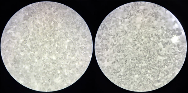 info-960-478 info-960-478